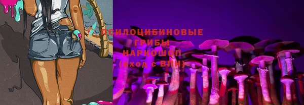 индика Баксан