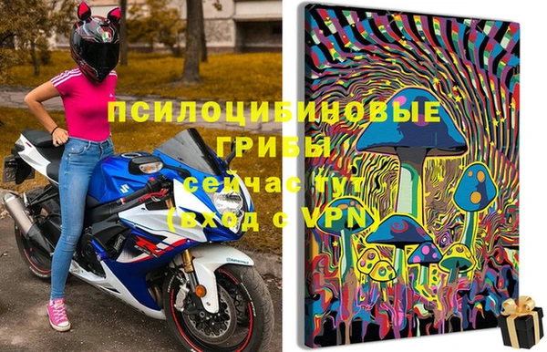 индика Баксан