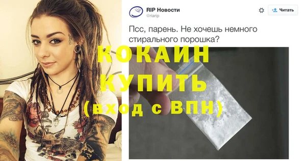индика Баксан